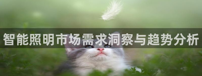 云顶国际平台游戏app