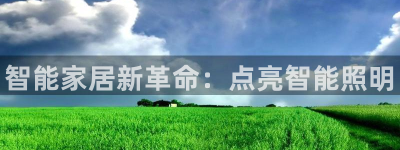 中国云顶集团