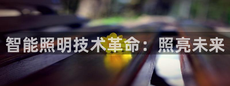 云顶国际商业广场 停车