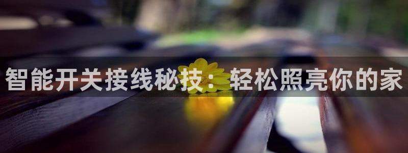 云顶国际--行业领导品牌