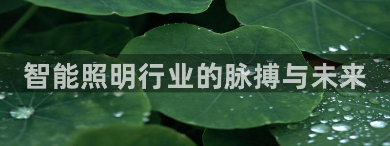 云顶集团老总是谁