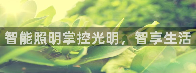云顶国际装饰设计公司