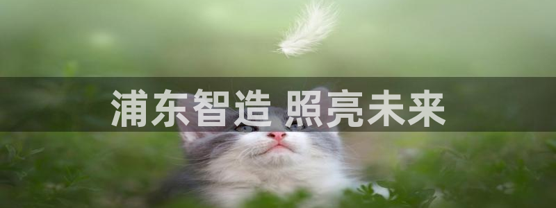 云顶国际提款不到账怎么办