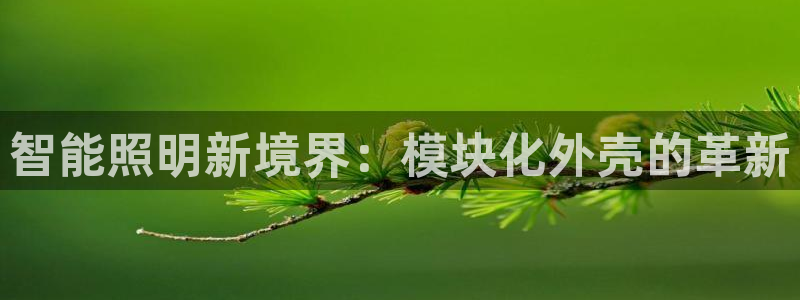 云顶国际app手机版下载安装