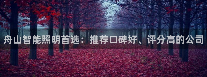 云顶国际电子注册平台官网