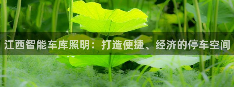 云顶手游国际版