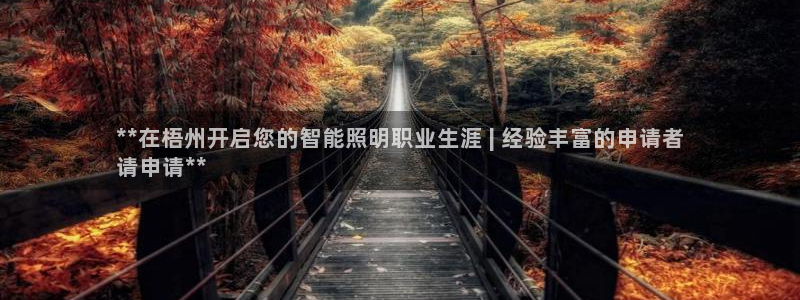 云顶国际服在哪下载