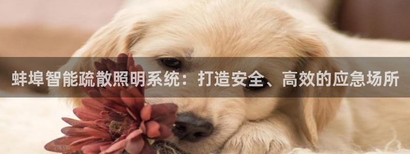 云顶集团有限公司简介概况