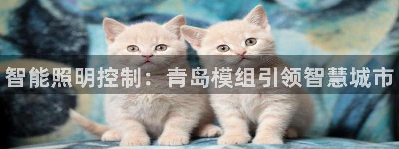 云顶国际平台提款受阻
