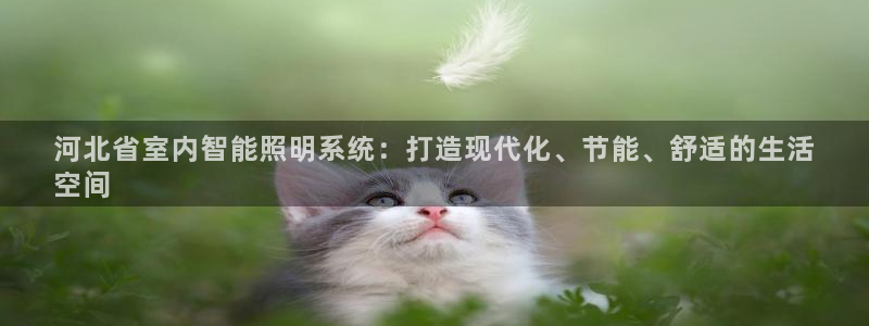 云顶国际大酒店房间价格表