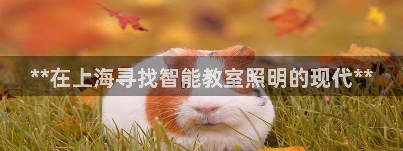 4008浏览器云顶下载