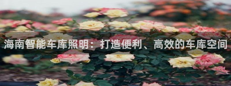 云顶线路快速检测中心