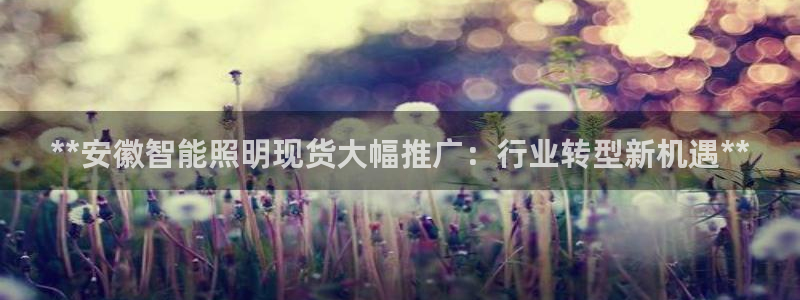 云顶国际A405