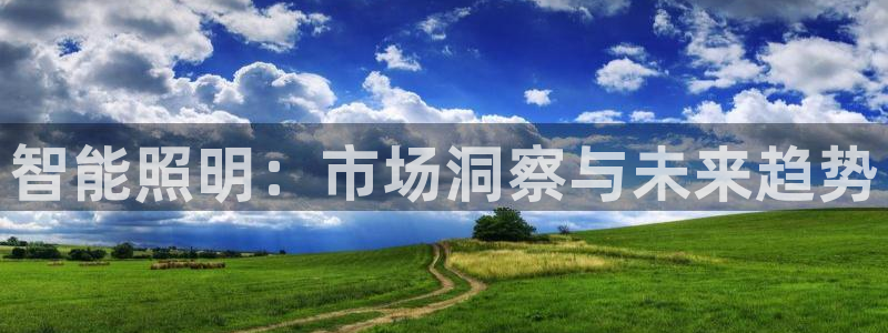 云顶国际旅行社怎么样
