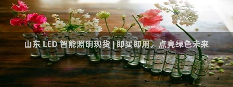 云顶国际公馆二手房出售