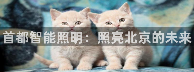 云顶国际集团游戏app