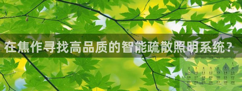 云顶国际中国官方网站下载