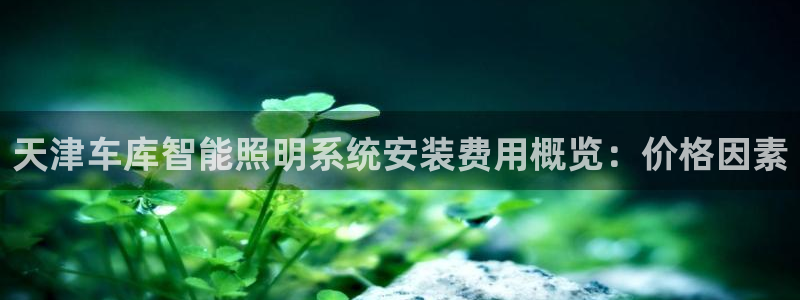 云顶国际app官方网站下载安装