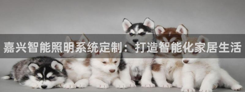 云顶国际公馆房价