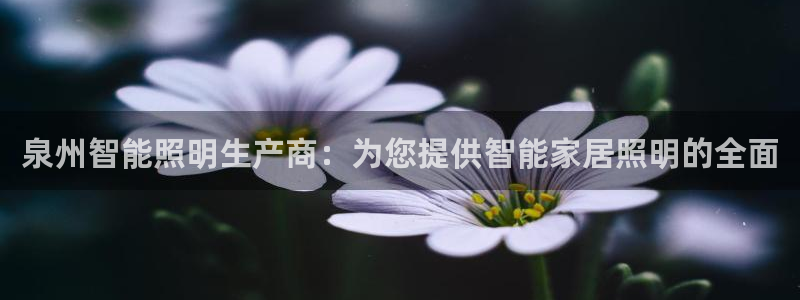 云顶国际晟荣协会荣誉奖项