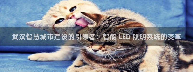 云顶国际晟荣协会