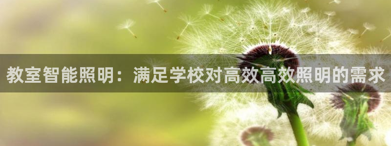 云顶国际服叫啥