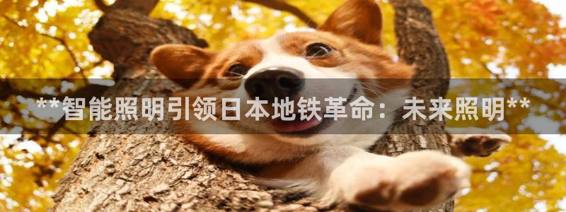 云顶国际麻将胡了