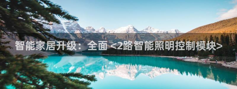 云顶国际服版本