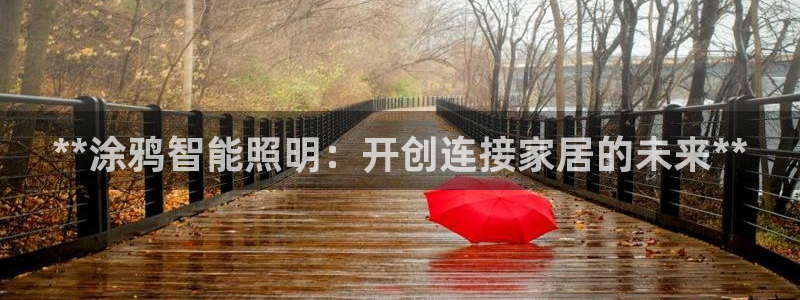 云顶国际服联机