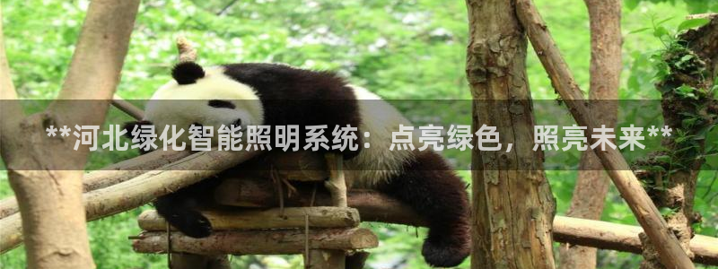 云顶国际网上平台