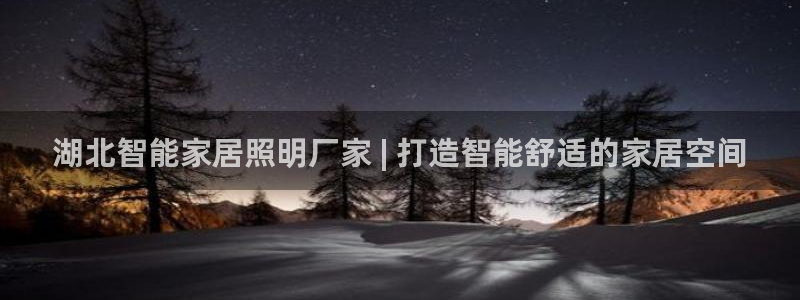 云顶国际app免费下载安卓