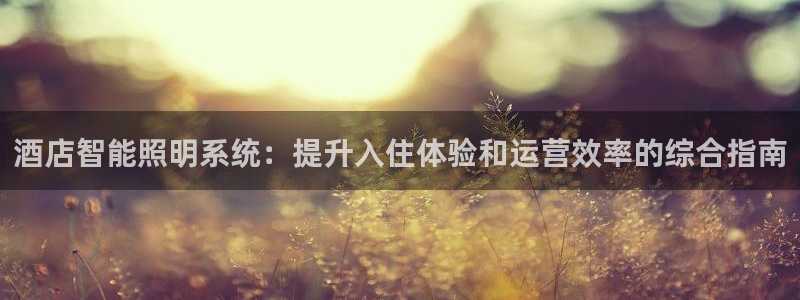 云顶国际ktv会所怎么样