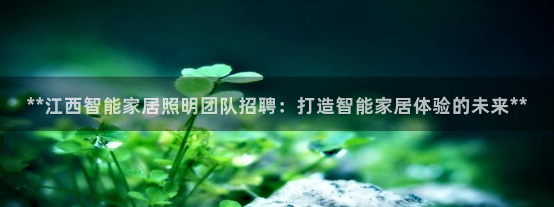 云顶国际商业广场可以充电动车吗