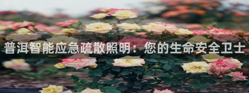 云顶国际商务会所