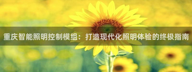 云顶国际服联机