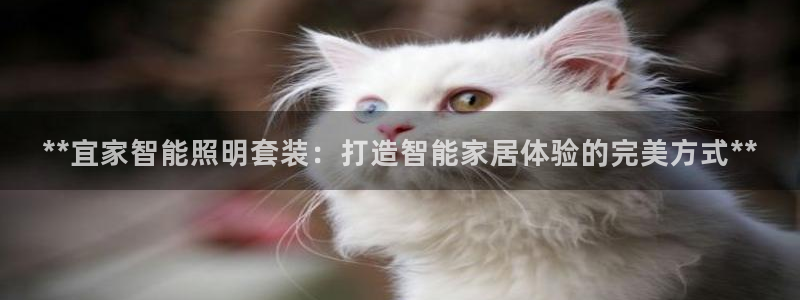 云顶游戏官网网址