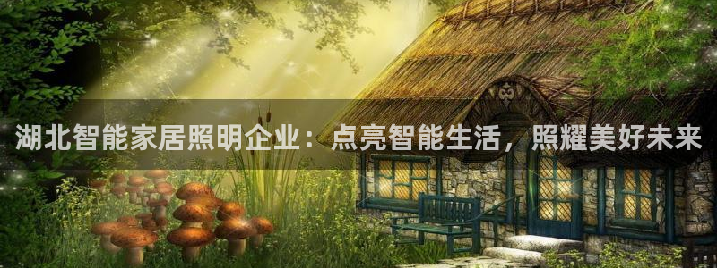 云顶集团网投领头