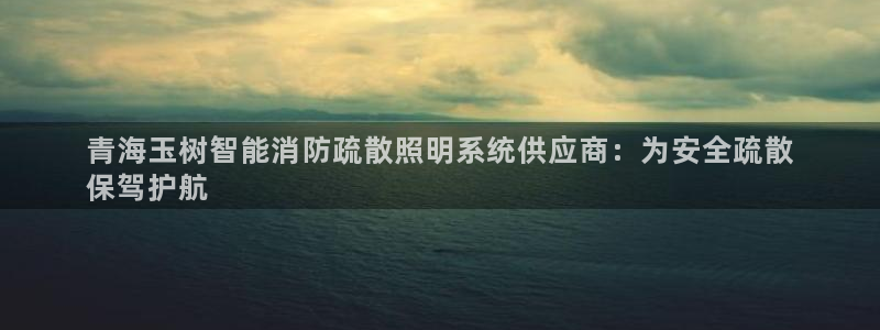 云顶集团董事长林东简历图片