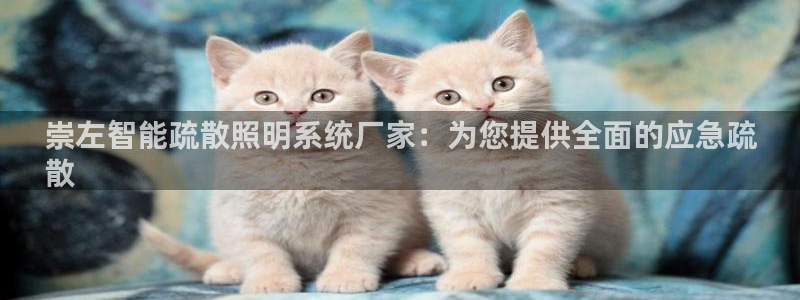 云顶国际日本