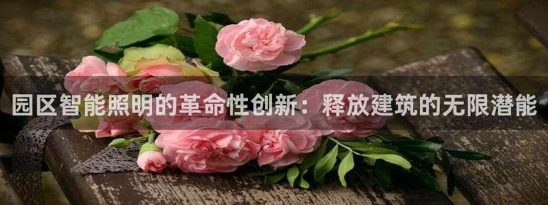 云顶国际黑网不出款了
