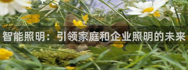 云顶国际版手游