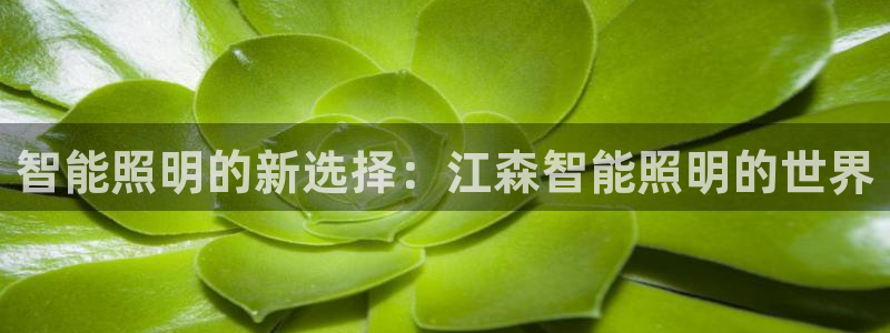 yd2333云顶电子游戏网址多少呢?