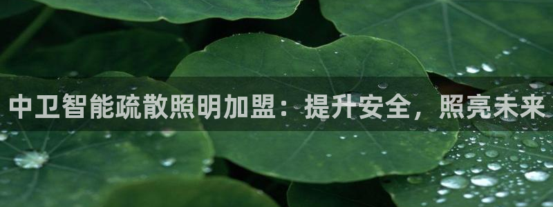 云顶国际游戏网址