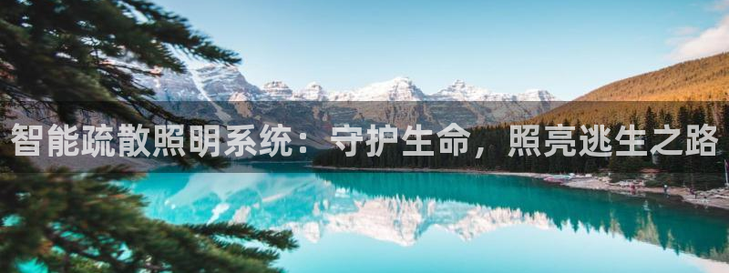 云顶国际大酒店房间价格表