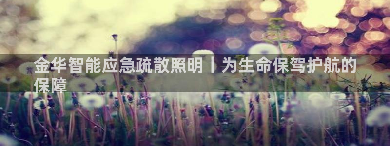 云顶讲解