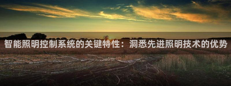 云顶国际体育官方网站入口