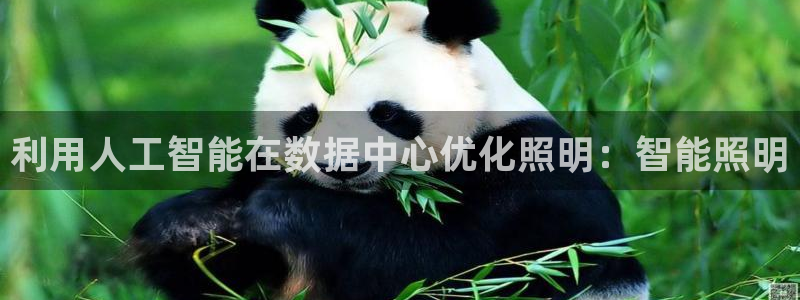 云顶国际集团官网招聘
