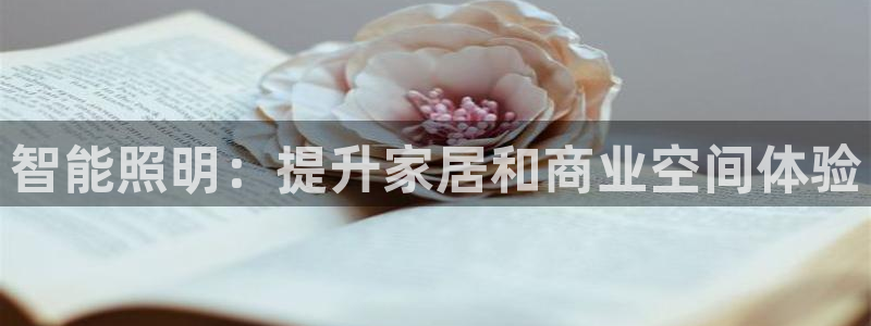 lol云顶国际服