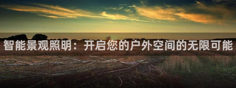 云顶国际晟荣协会
