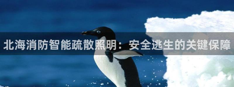 云顶国际服S9什么时候更新
